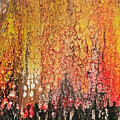 Curtain of Flame
