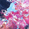 Profile Nebula