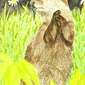 River Otter