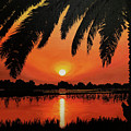 Sunset in Paradise